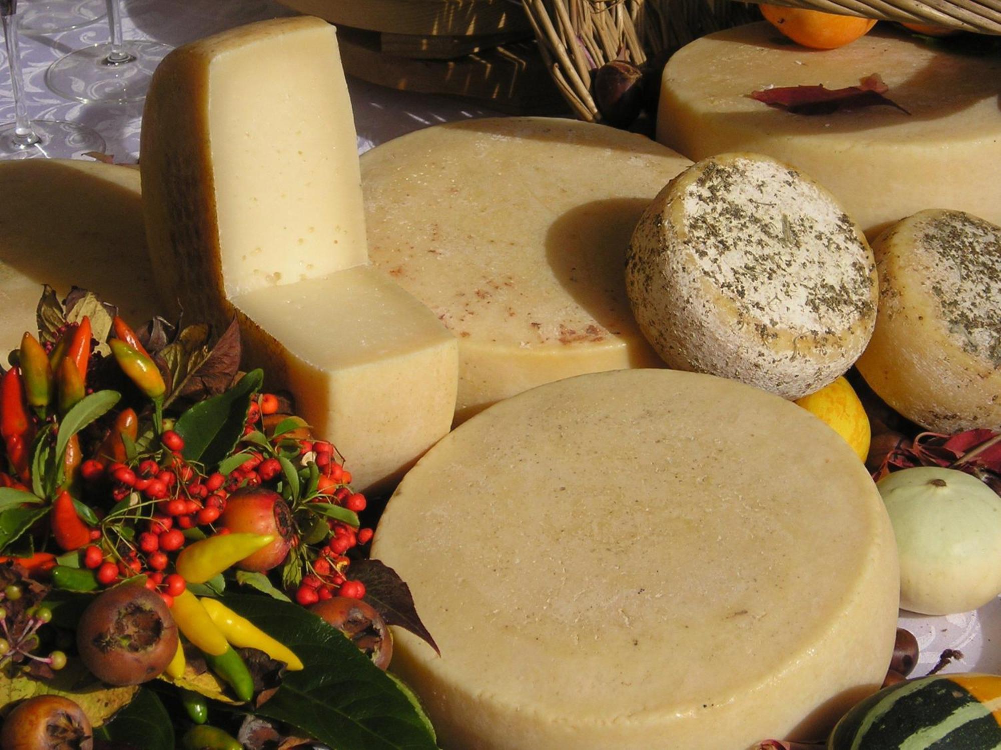 Agriturismo Borg Da Ocjs Medea Eksteriør billede